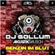 DJ Gollum Feat. Akustikrausch - Benzin Im Blut